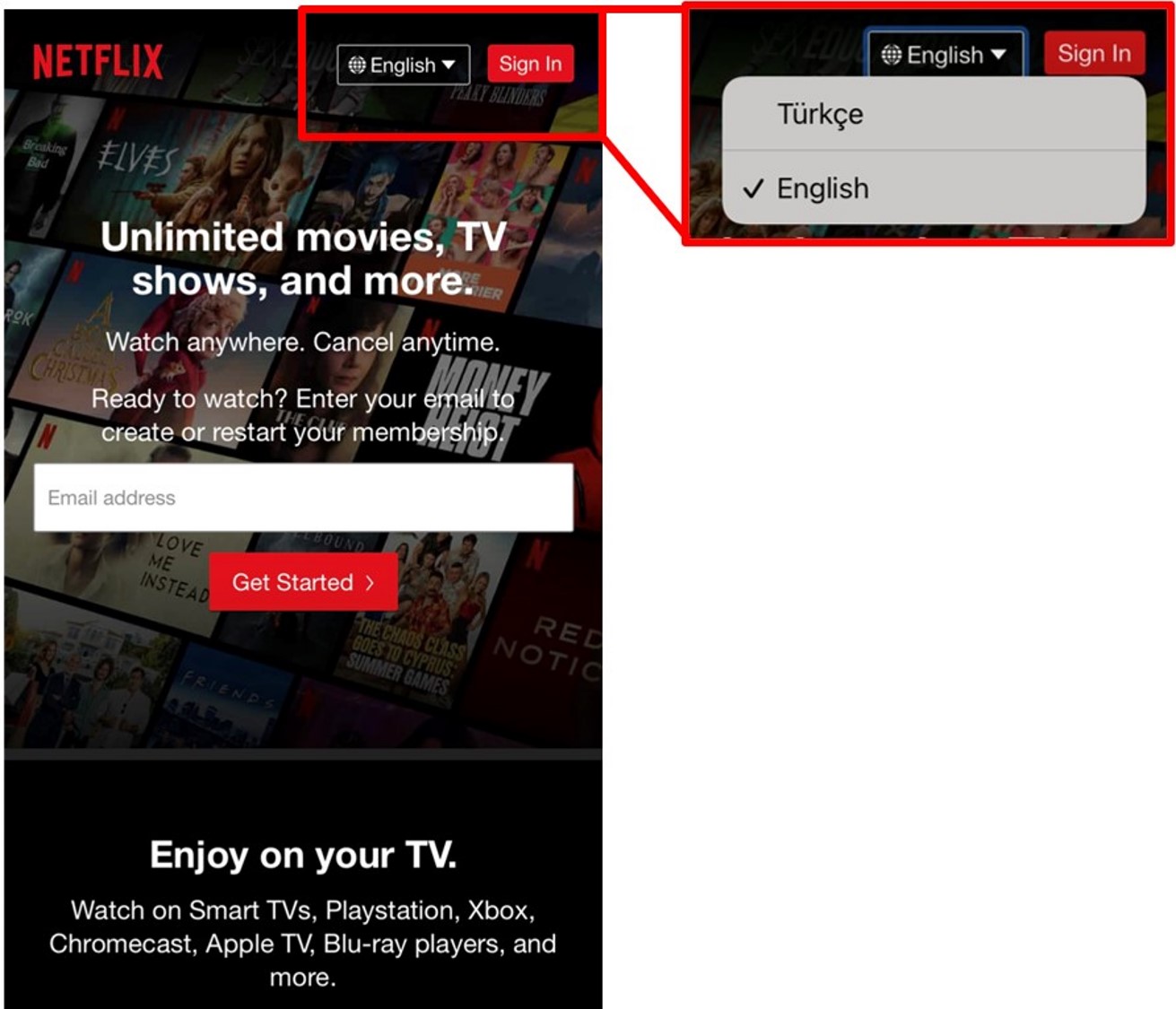 Netflix Application